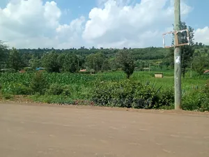1/2 Acre in Kikuyu, Thigio, Touching Tarmack at 5.5m