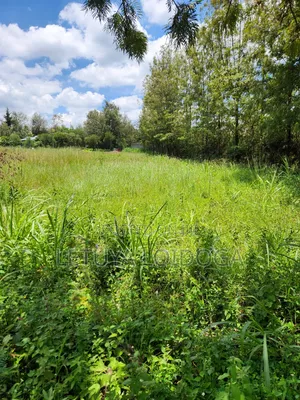 Ngong-Matasia Town 1 and 1⁄4 Acres