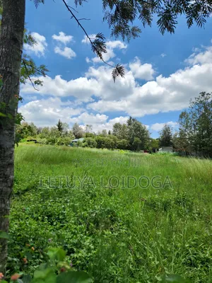 Ngong-Matasia Town 1 and 1⁄4 Acres