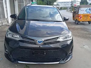 Toyota Corolla Fielder 2019 Black