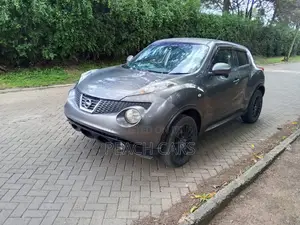 Nissan Juke S 2011 Gray