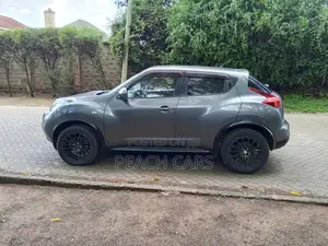 Nissan Juke S 2011 Gray