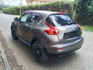 Nissan Juke S 2011 Gray