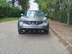 Nissan Juke S 2011 Gray