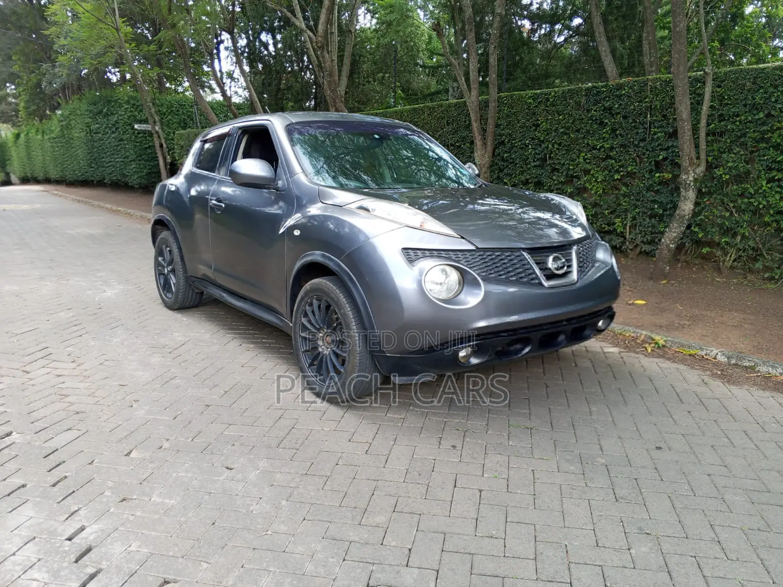 Nissan Juke S 2011 Gray