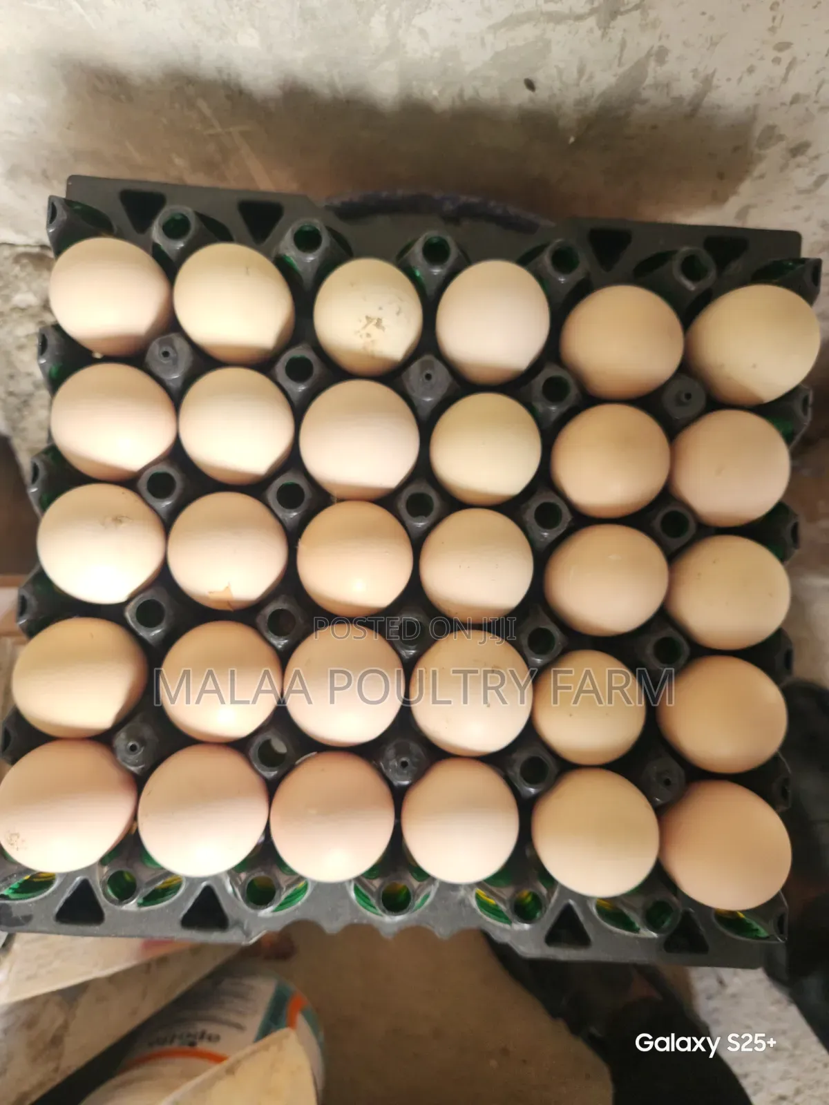 Improved Kienyeji Eggs
