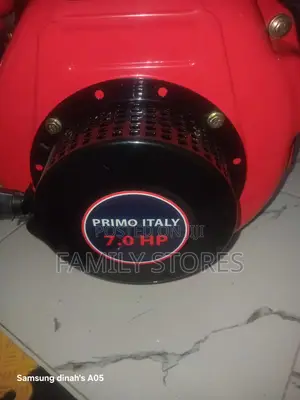 Primo Italy 178f 7hp Air Cooled Diesel Engine 296cc