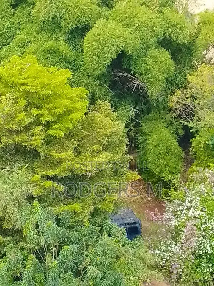 1 Acre Land for Sale in Upper Hill