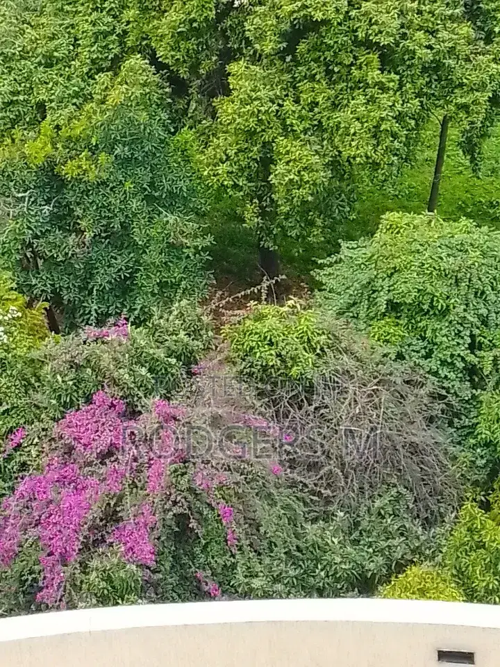 1 Acre Land for Sale in Upper Hill