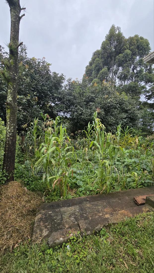 3bdrm Bungalow in Kasphat, Banana for rent - thumbnail 5