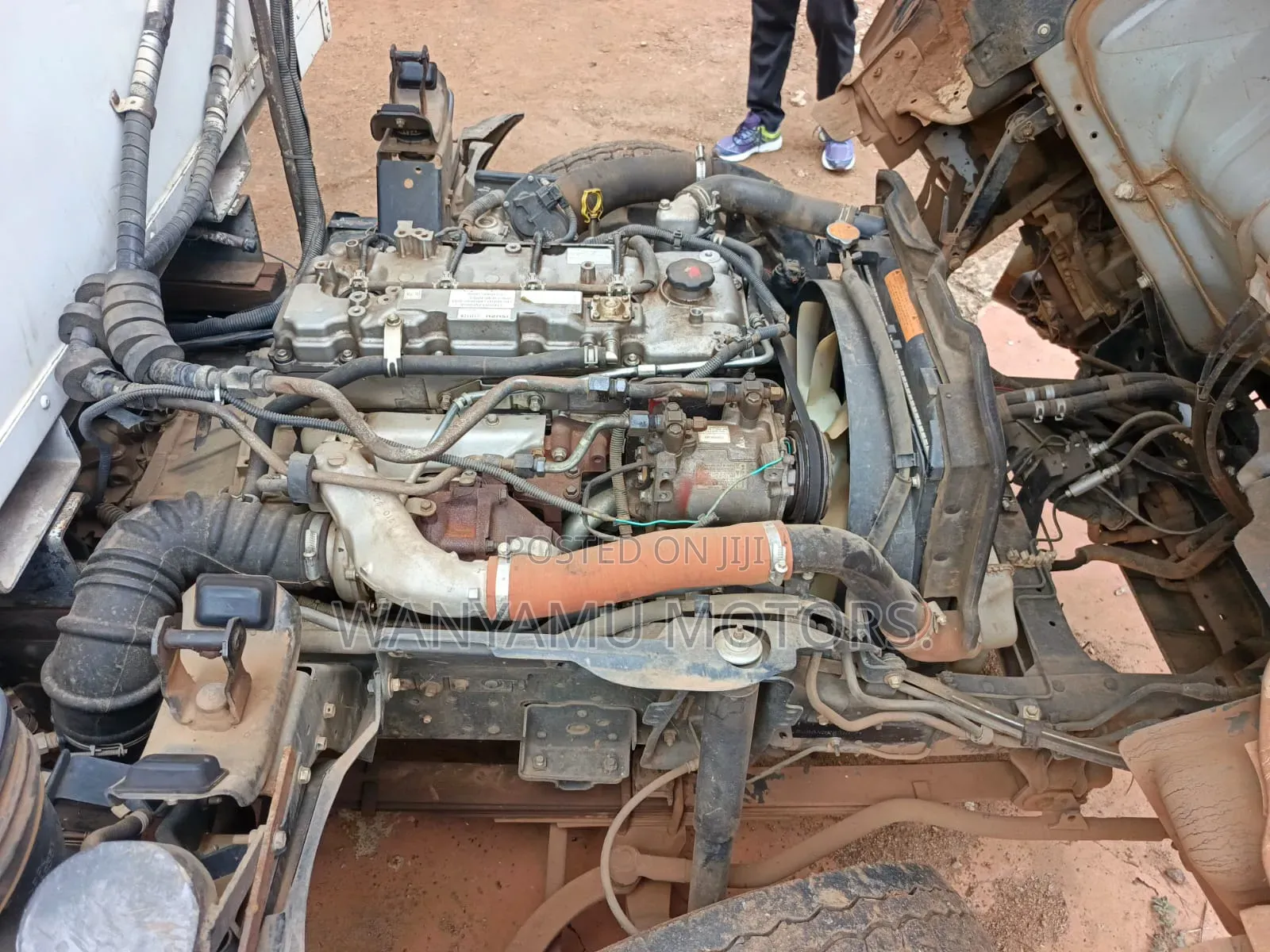 Isuzu NMR 2024