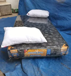 Morning Glory 3x6 Quilted Mattress 6-Inch With 2 Pillows