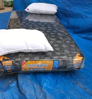 Comfort Sleep 3x6 Quilted Mattress Set With 2 Free Pillows