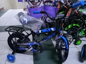 Kids Bicycle With Training Wheels