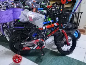 Kids Bicycle With Training Wheels