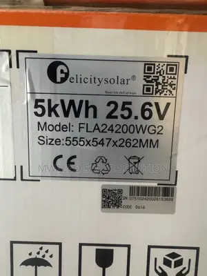 4kva 24v Inverter and 5kwh Lithium Battery 25.6v