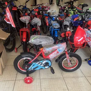 Flexi Bike With Water Bottle Size 12