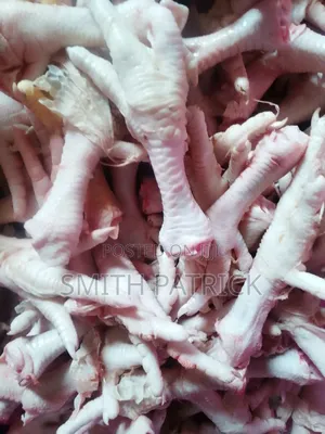 Dog's and Cats Foods