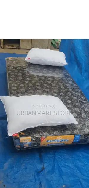 3x6 Plain Mattress 6 Inch Thick + 2 Pillows Set