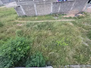60by40 Residential Plot for Sale in Mwihoko(Near Kiriri University)