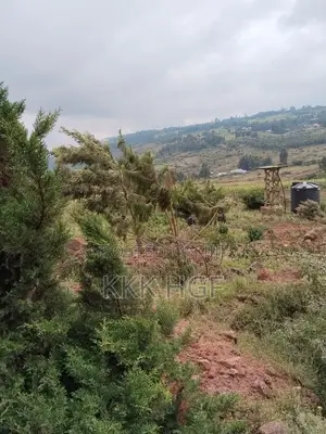 Ndeiya Plots Gated