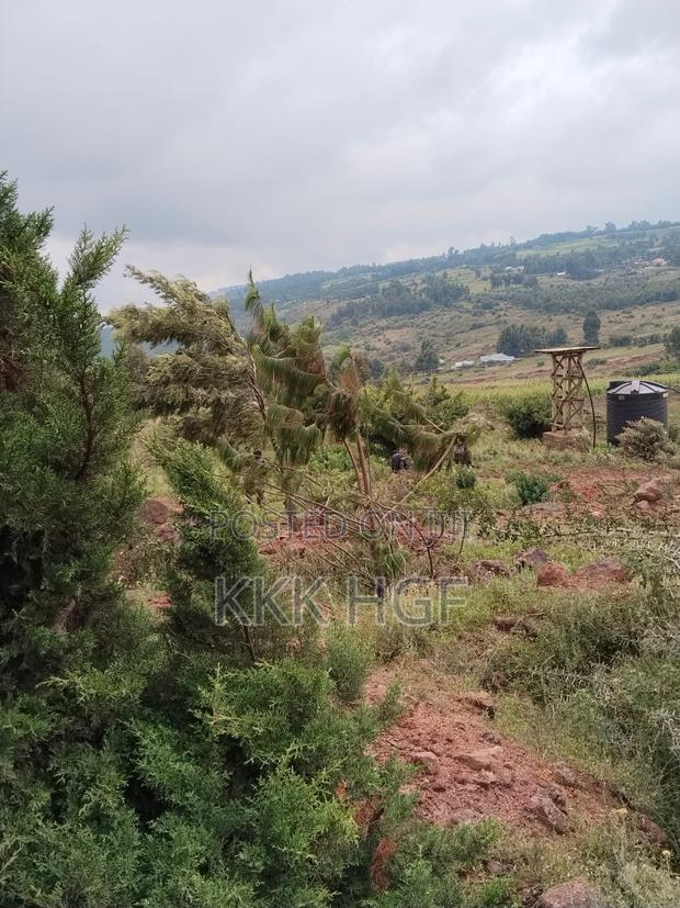 Ndeiya Plots Gated