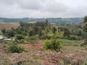 Ndeiya Plots Gated