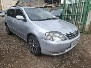 Toyota Corolla Fielder 2005 Silver