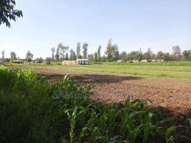 1.3. Acre. Land for Sale in Uasin Ngishu