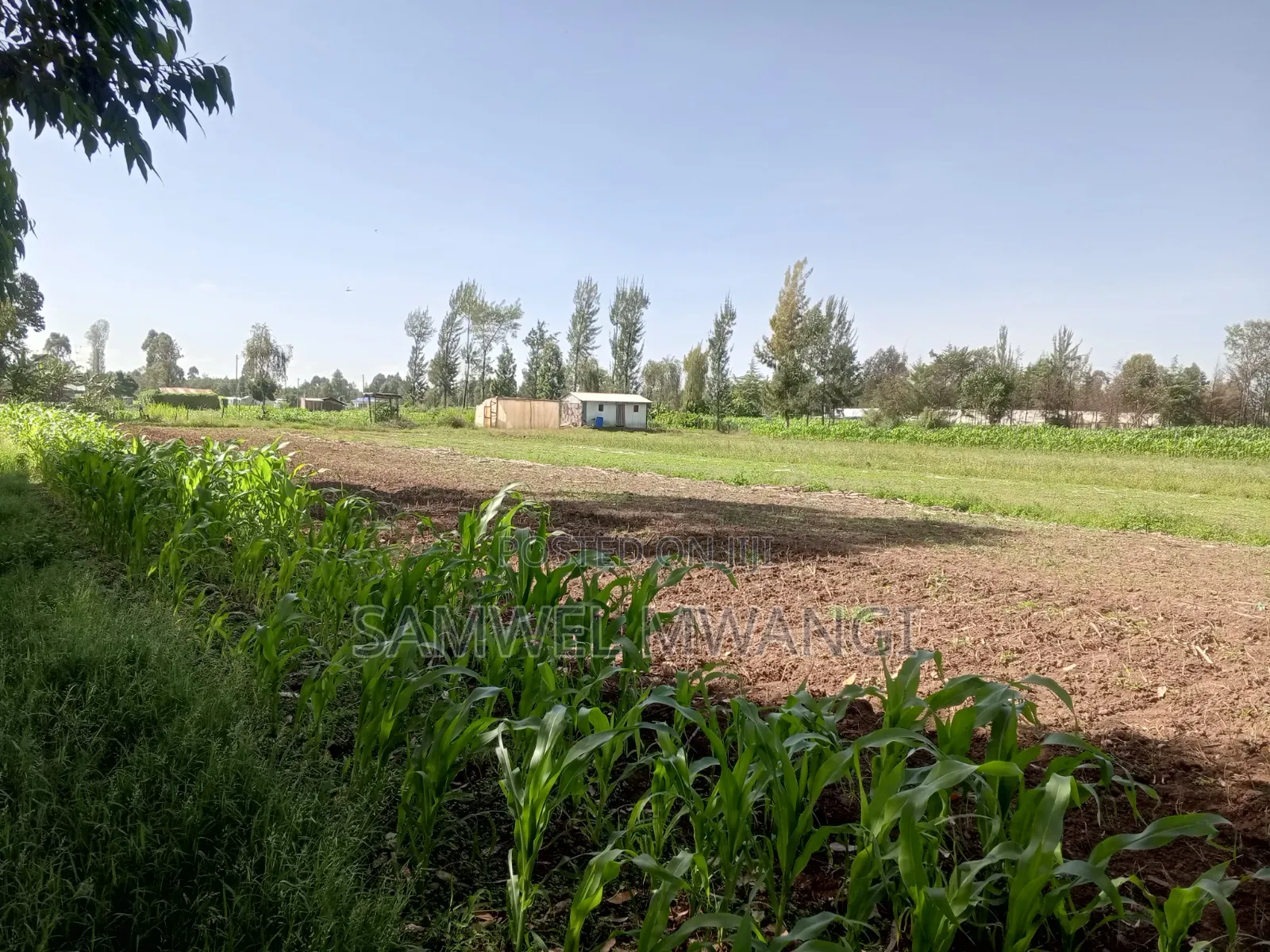 1.3. Acre. Land for Sale in Uasin Ngishu