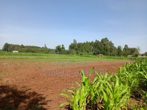 1.3. Acre. Land for Sale in Uasin Ngishu
