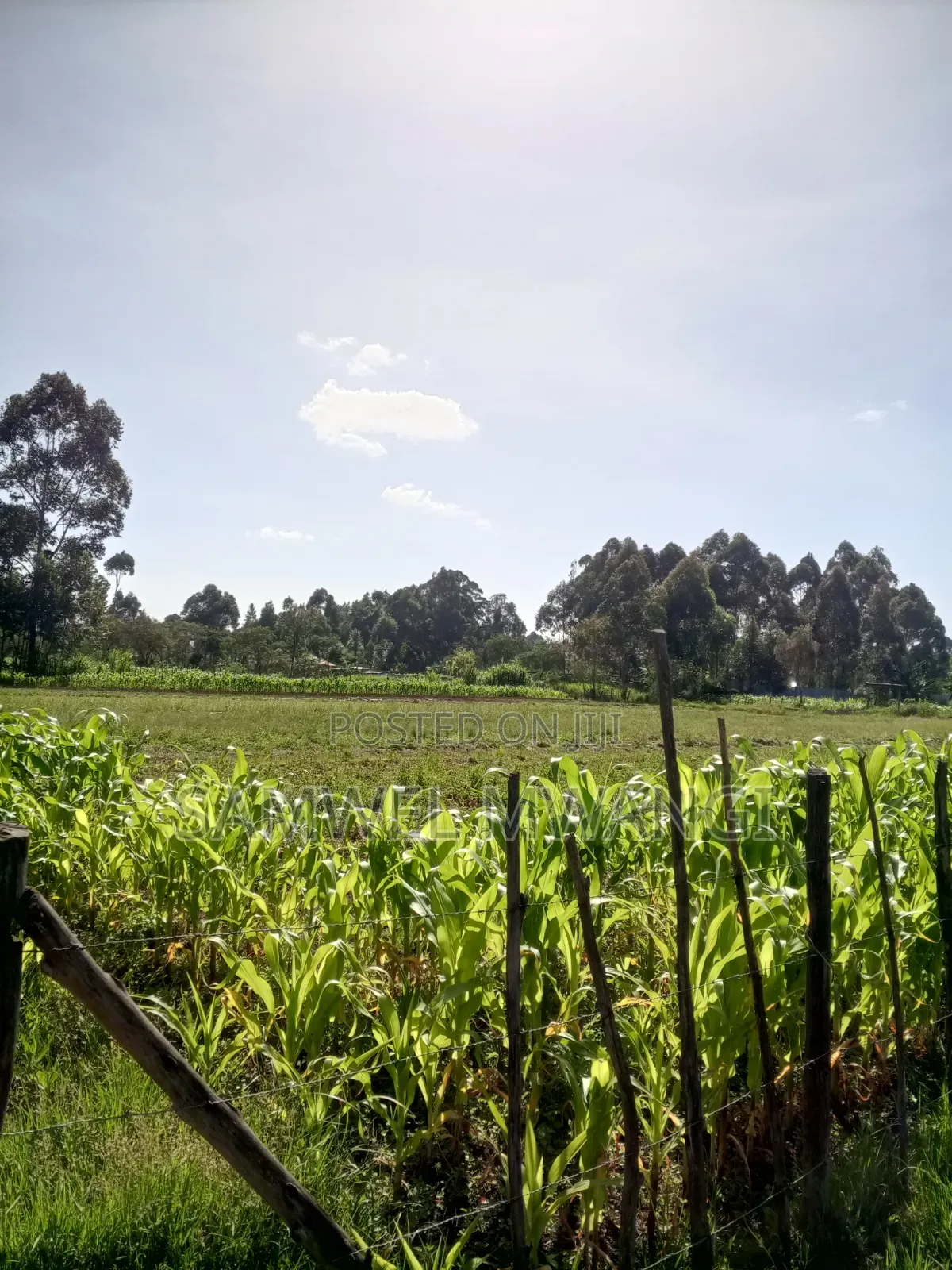 1.3. Acre. Land for Sale in Uasin Ngishu