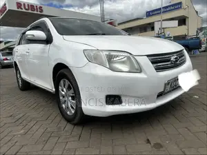 Toyota Corolla Fielder 2010 White