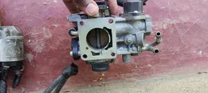 Throttle Body and Starter