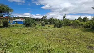 Prime 50x100 Residential Plot – Kibiko, Ngong (Boaster Road)
