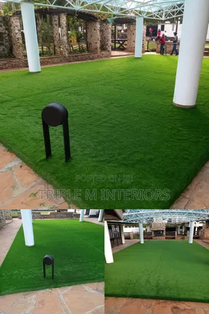 Stadium-Quality Sod