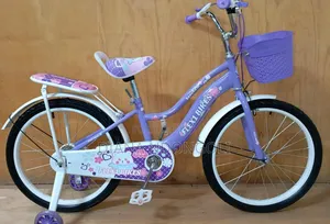 Flex 1 Girls Bike