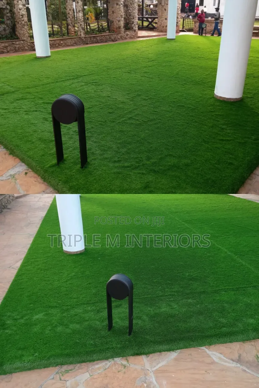 Champion’S Turf | the Reliable Surface Where Legends Are Made