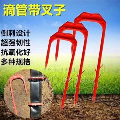 Red Forkspike