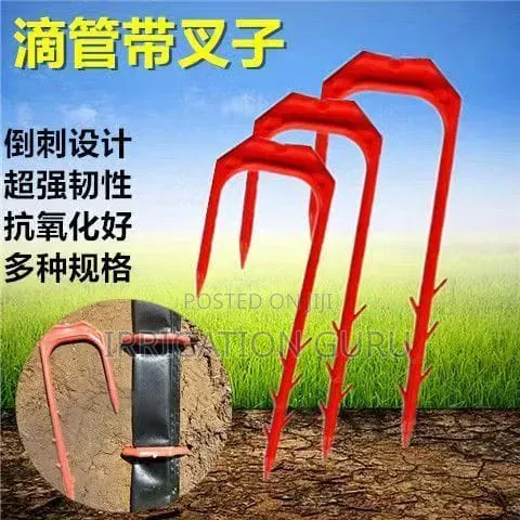 Red Forkspike