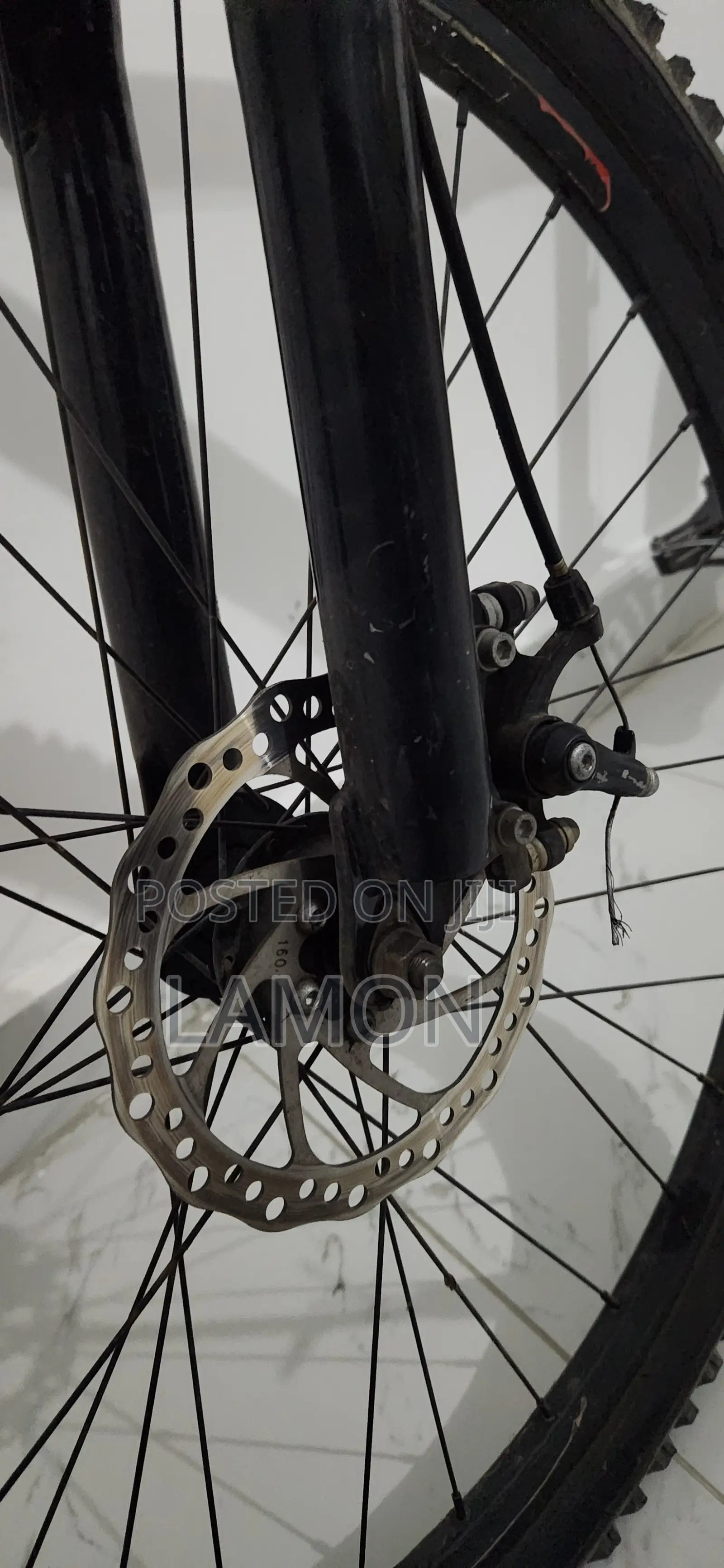 Format Typhoon Bicycle