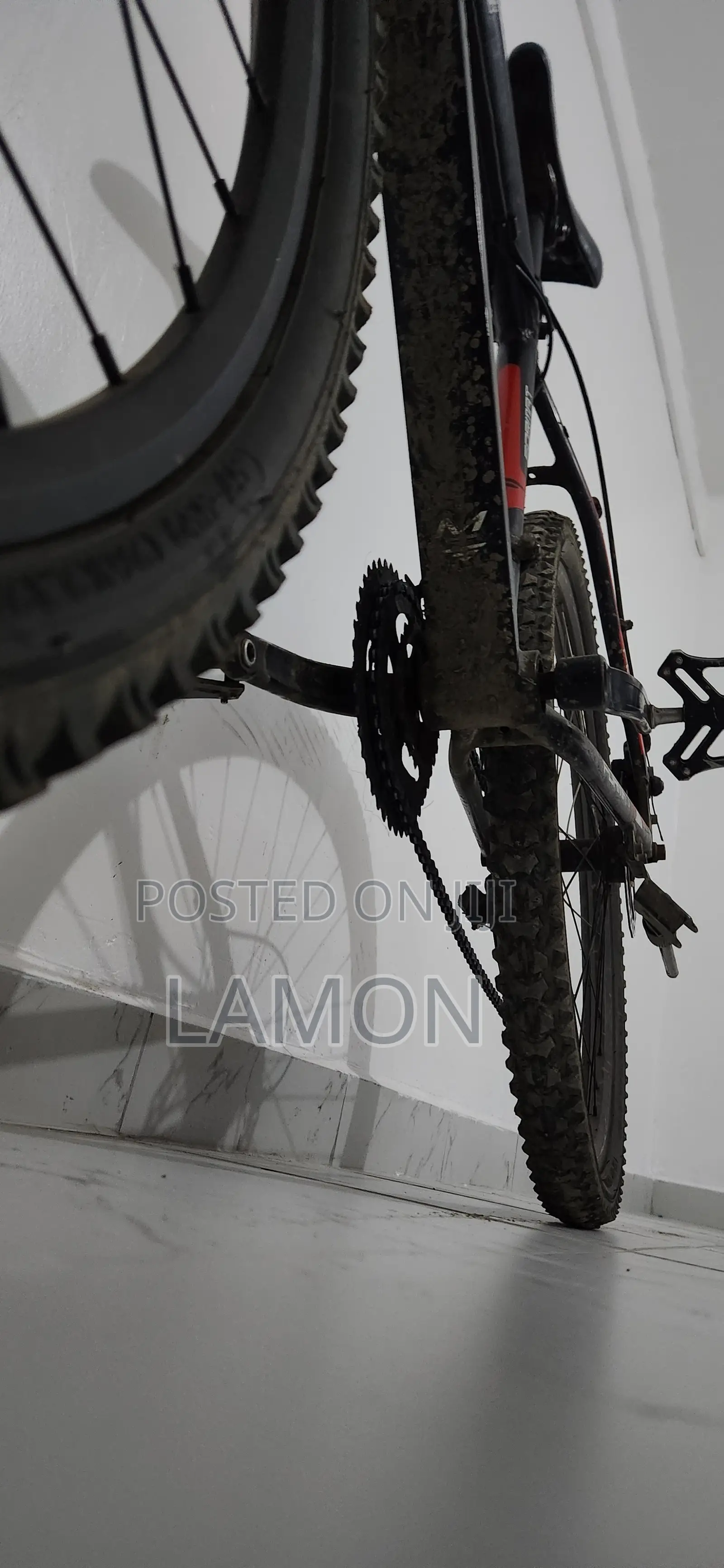 Format Typhoon Bicycle