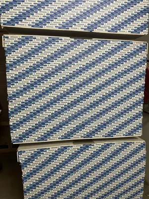 Ceiling Gypsum Boards