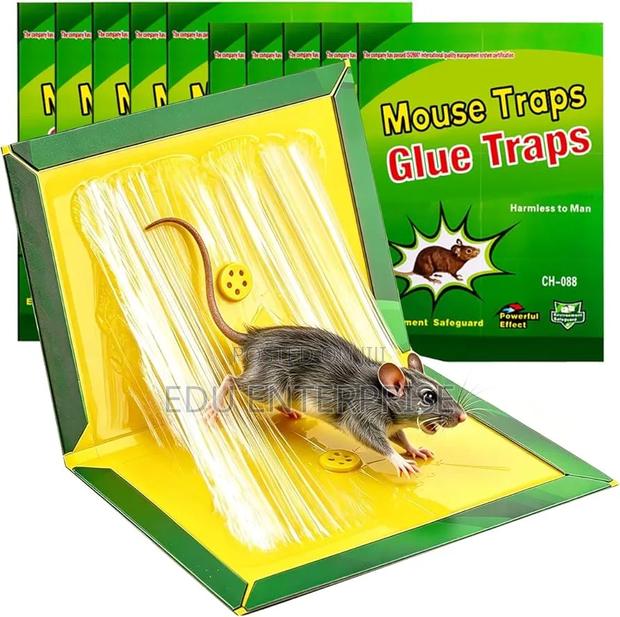 Super Mouse And Rat Glue