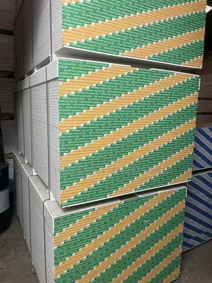 Lion King 9mm Gypsum Ceiling Board