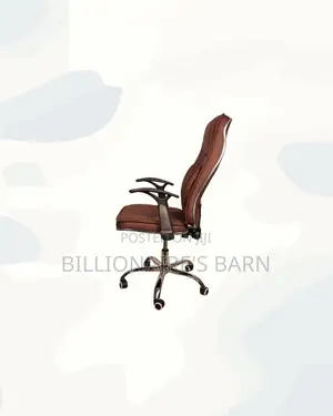 Professional Chair High Back Padded Armrest Kenya Wide Shipping