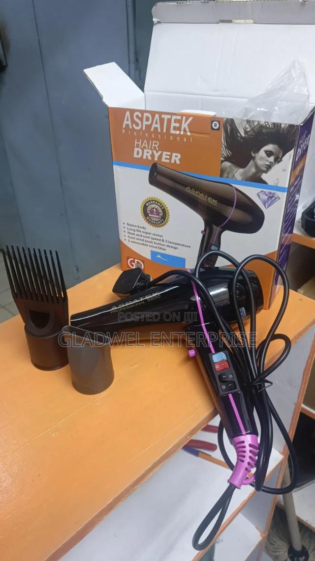 High Efficiency Asatek Blowdry - main view