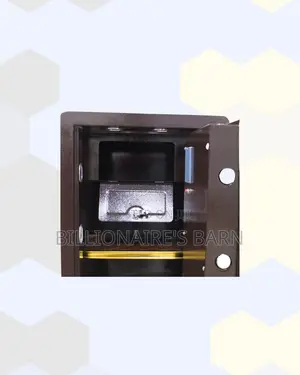 Fireproof Biometric Safe Programmable Keypad And Dual Alarm Nairobi