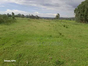 Plot for Sale. (Homa-Bay)
