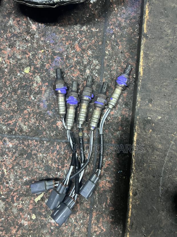 Oxygen Sensors - thumbnail 2
